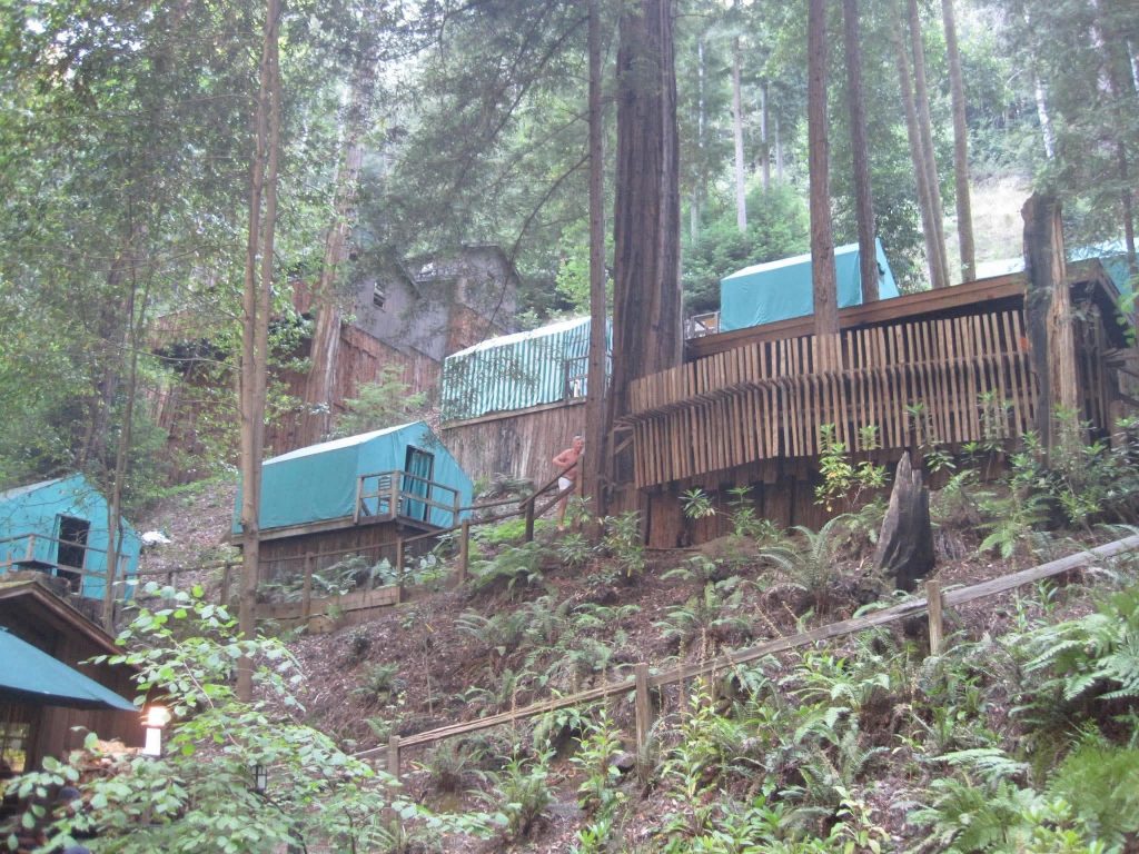 EXCLUSIVE: Insiders photos from Bohemian Grove