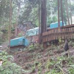 EXCLUSIVE: Insiders photos from Bohemian Grove